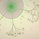 Illustration for article titled Akciós az Eufloria